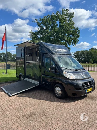 FIAT DUCATO 2-paards paardenwagen foto 6