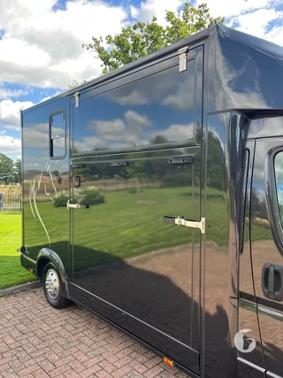 FIAT DUCATO 2-paards paardenwagen foto 5