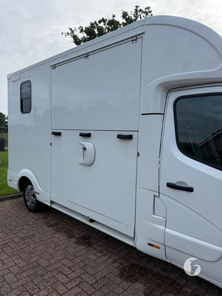 RENAULT MASTER 2-paards paardenwagen foto 5