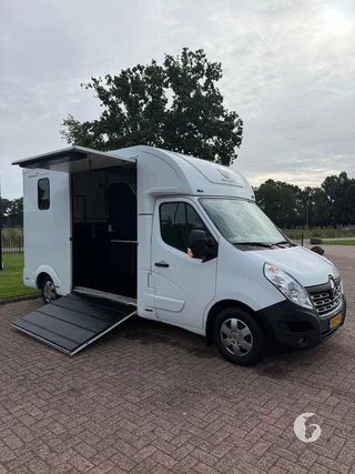 RENAULT MASTER 2-paards paardenwagen foto 6
