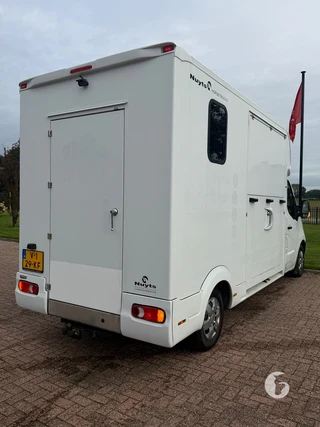 RENAULT MASTER 2-paards paardenwagen foto 12