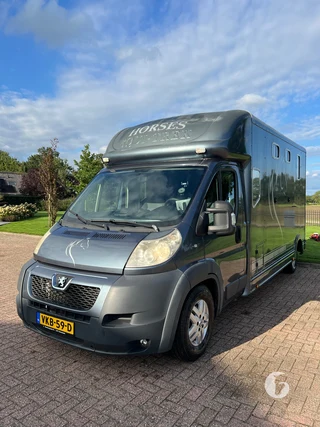 PEUGEOT BOXER 2-paards paardenwagen
