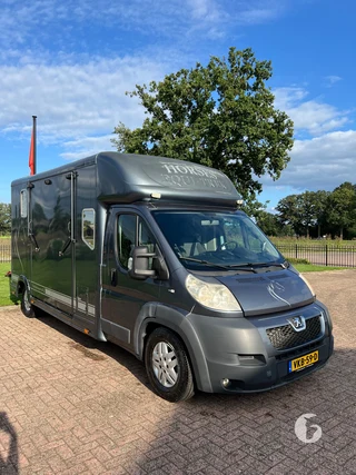 PEUGEOT BOXER 2-paards paardenwagen foto 4