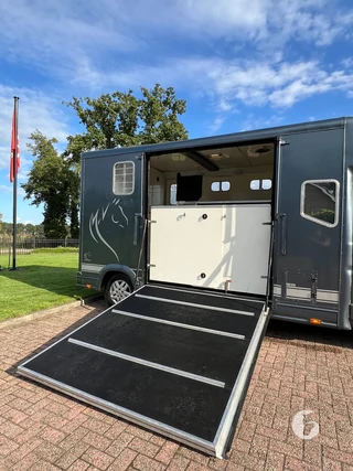 PEUGEOT BOXER 2-paards paardenwagen foto 6