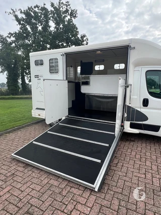 Peugot Equitrek 2-paards paardenwagen foto 7
