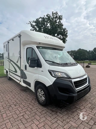 Peugot Equitrek 2-paards paardenwagen foto 4