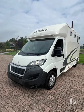 Peugot Equitrek 2-paards paardenwagen