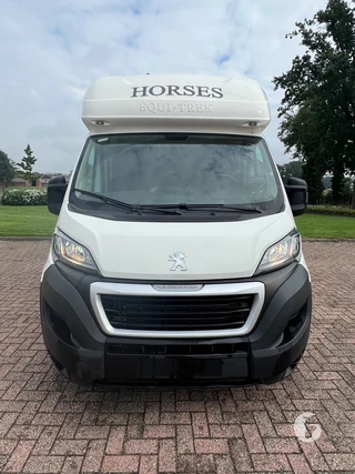 Peugot Equitrek 2-paards paardenwagen foto 3