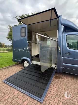 Mercedes-Benz SPRINTER 2-paards paardenwagen Photo 7