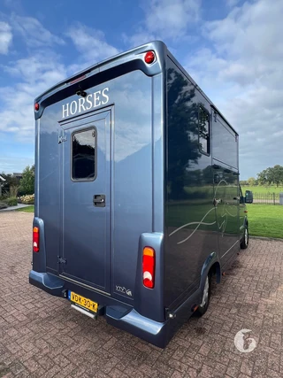 Mercedes-Benz SPRINTER 2-paards paardenwagen Photo 12