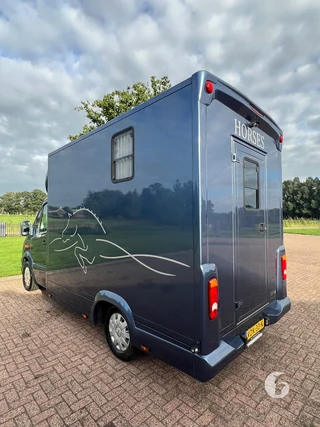 Mercedes-Benz SPRINTER 2-paards paardenwagen Photo 11