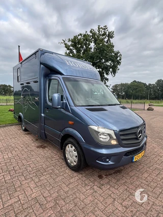 Mercedes-Benz SPRINTER 2-paards paardenwagen Photo 4