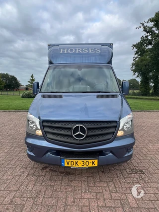 Mercedes-Benz SPRINTER 2-paards paardenwagen Photo 3
