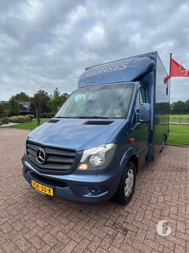 Mercedes-Benz SPRINTER 2-paards paardenwagen