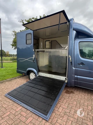 Mercedes-Benz SPRINTER 2-paards paardenwagen Photo 6