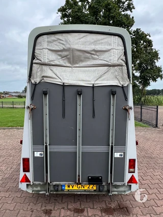 HUMBAUR HP2003 1,5-paards paardentrailer Foto 5