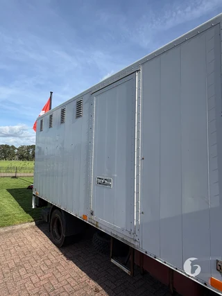 Mercedes-Benz 814 2-paards paardenvrachtwagen Photo 4