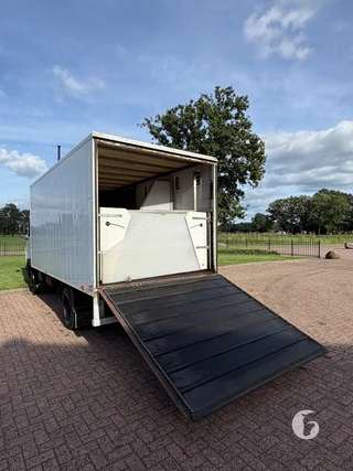 Mercedes-Benz 814 2-paards paardenvrachtwagen Photo 7