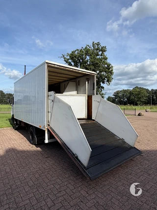 Mercedes-Benz 814 2-paards paardenvrachtwagen Photo 8