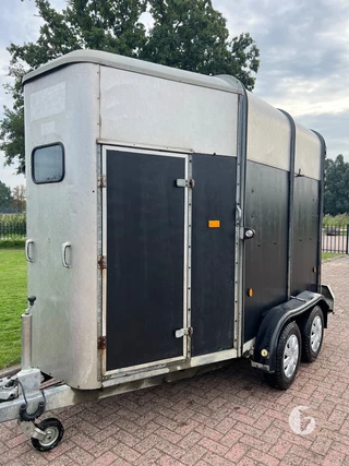 IFOR WILLIAMS TRAILERS HB 505 R 1 2-paards paardentrailer