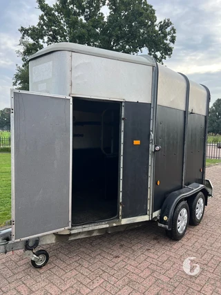 IFOR WILLIAMS TRAILERS HB 505 R 1 2-paards paardentrailer foto 3