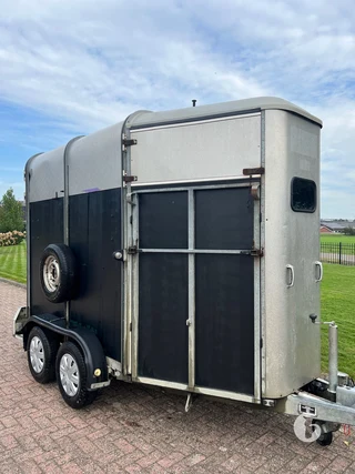 IFOR WILLIAMS TRAILERS HB 505 R 1 2-paards paardentrailer foto 4