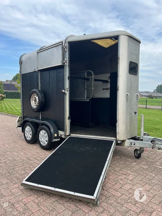 IFOR WILLIAMS TRAILERS HB 505 R 1 2-paards paardentrailer foto 6