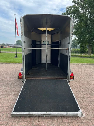 IFOR WILLIAMS TRAILERS HB 505 R 1 2-paards paardentrailer foto 9