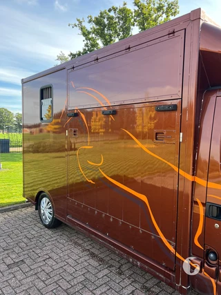 Renault Hippo 2-paards paardenwagen Photo 5