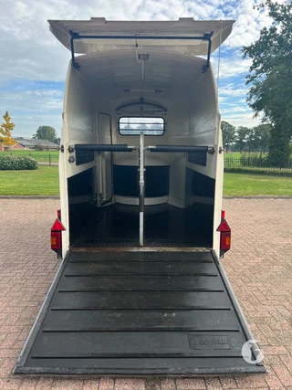 WESTFALIA 120882F 2-paards paardentrailer foto 8