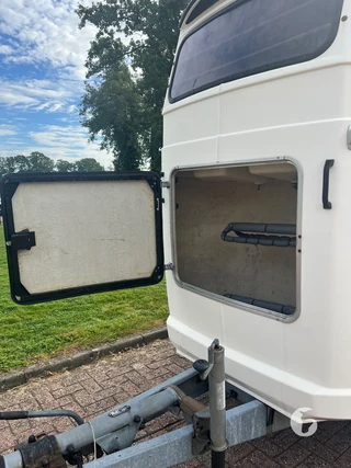 WESTFALIA 120882F 2-paards paardentrailer foto 5