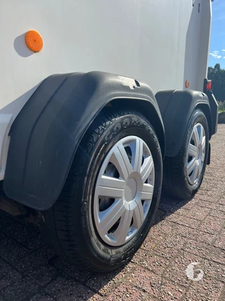 WESTFALIA 120882F 2-paards paardentrailer foto 11