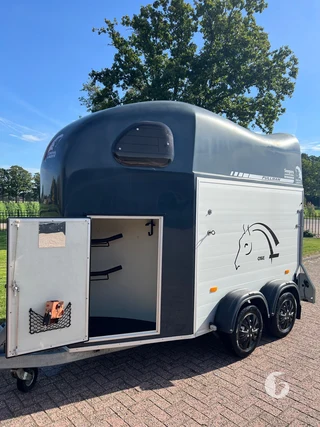 Cheval Liberté GOLD ONE PULLMAN V2 1,5-paards paardentrailer foto 3