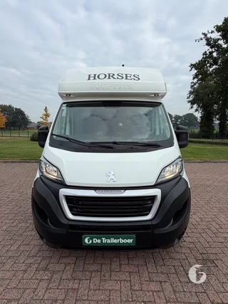 Equetrek Sonic Elite 2-paards paardenwagen Foto 3