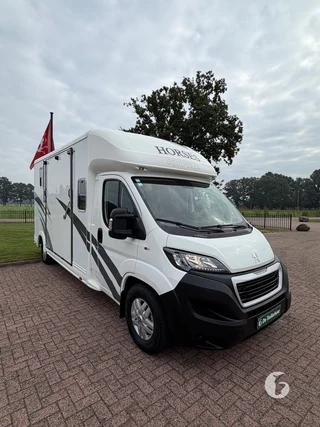 Equetrek Sonic Elite 2-paards paardenwagen Foto 4