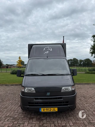 FIAT DUCATO 2-paards paardenwagen Photo 3