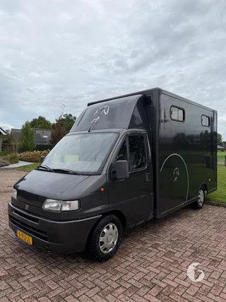 FIAT DUCATO 2-paards paardenwagen