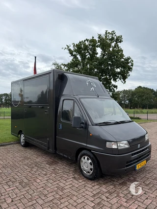 FIAT DUCATO 2-paards paardenwagen Photo 4