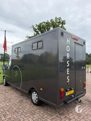 FIAT DUCATO 2-paards paardenwagen Photo 10