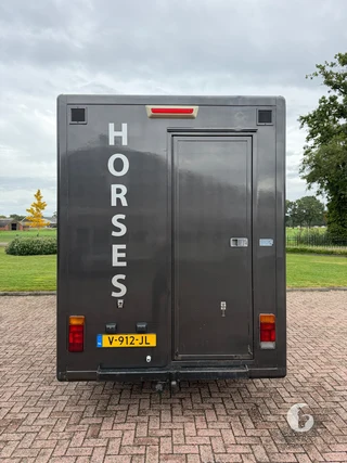 FIAT DUCATO 2-paards paardenwagen Photo 11
