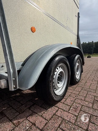 Böckmann CS 2 1,5-paards paardentrailer Photo 10