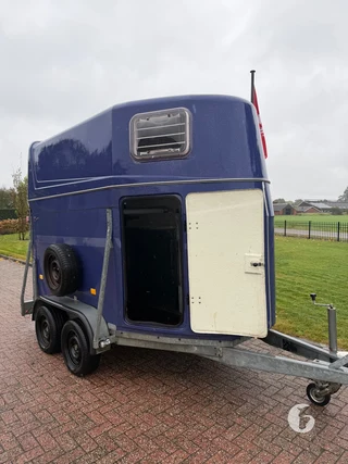 Reuter 2-paards paardentrailer Foto 5