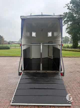 Reuter 2-paards paardentrailer Foto 8