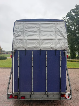 Reuter 2-paards paardentrailer Foto 6