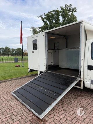 IVECO 40C 2-paards paardenwagen foto 7