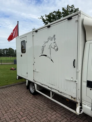 IVECO 40C 2-paards paardenwagen foto 5
