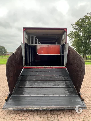Iveco 2-paards paardenvrachtwagen Photo 10
