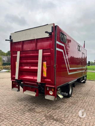 Iveco 2-paards paardenvrachtwagen Photo 5