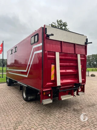 Iveco 2-paards paardenvrachtwagen Photo 8