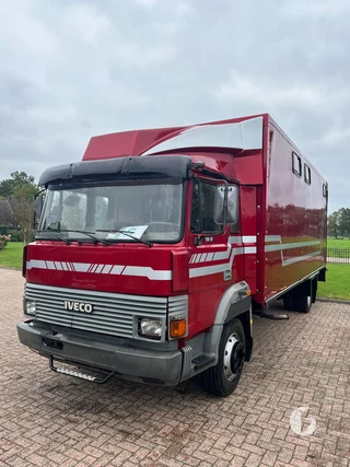 Iveco 2-paards paardenvrachtwagen